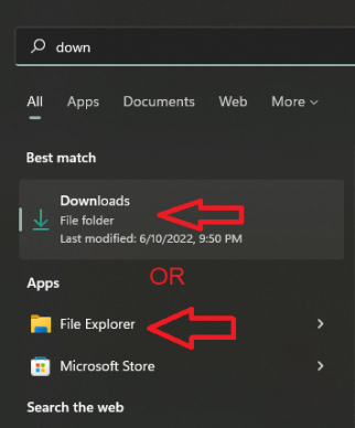 Download and File explorer