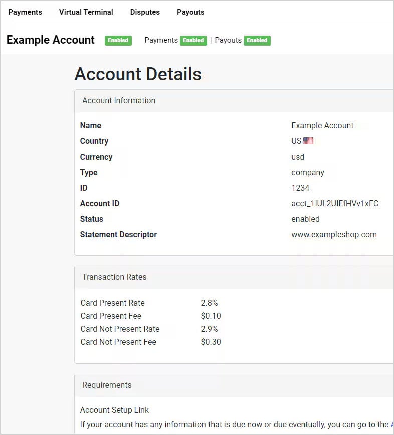 Image showing the Account Details page of the Payment Portal.
