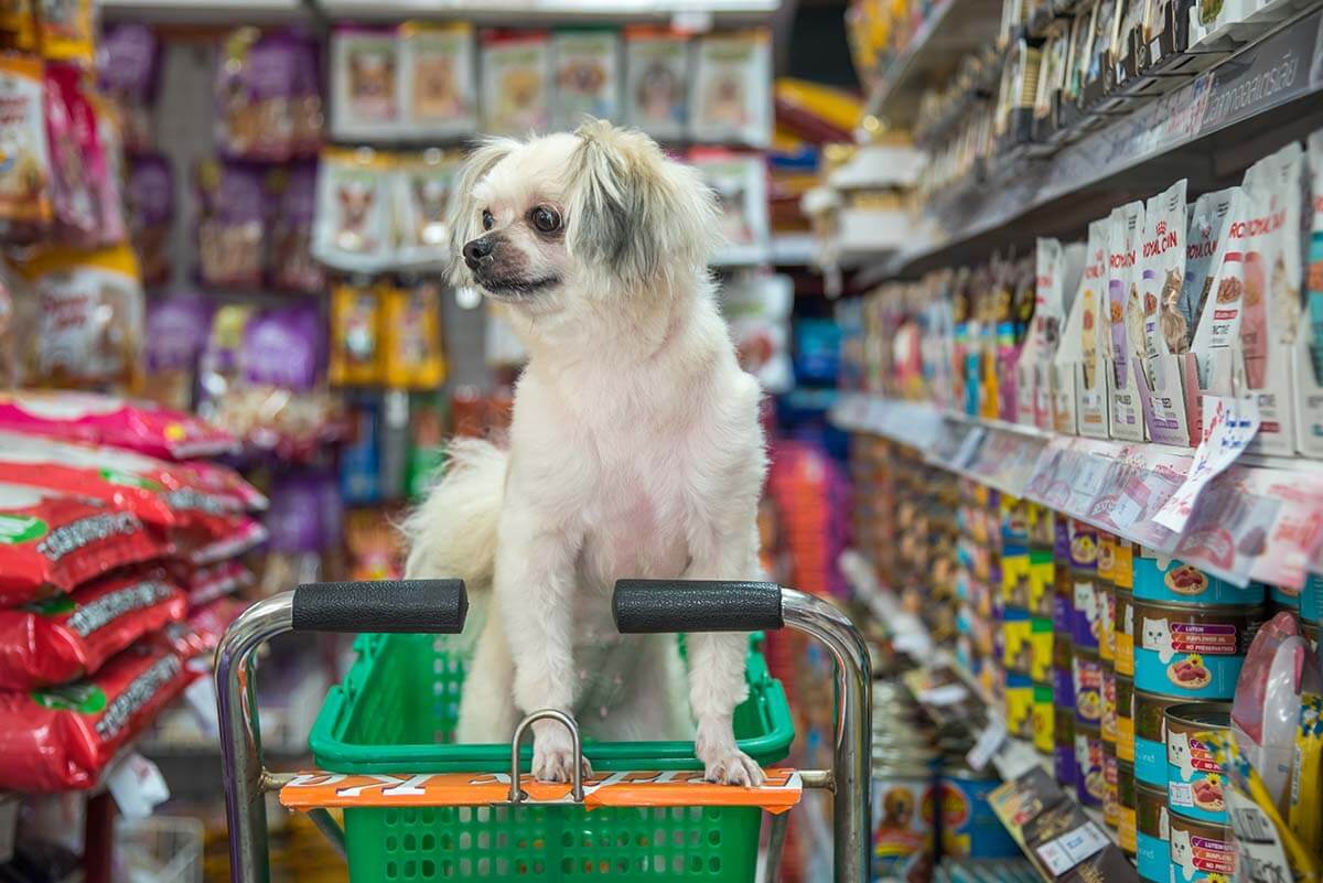 Tips to Create an Effective Pet Store Layout eTailPet